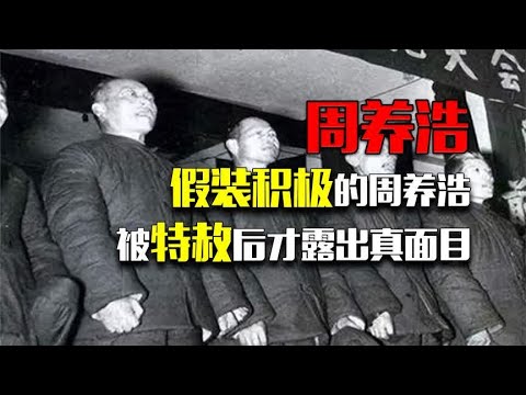 沈醉直到1975年才知道:假装积极的周养浩,被特赦后才露出真面目 - YouTube