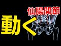 仙腸関節は動く！