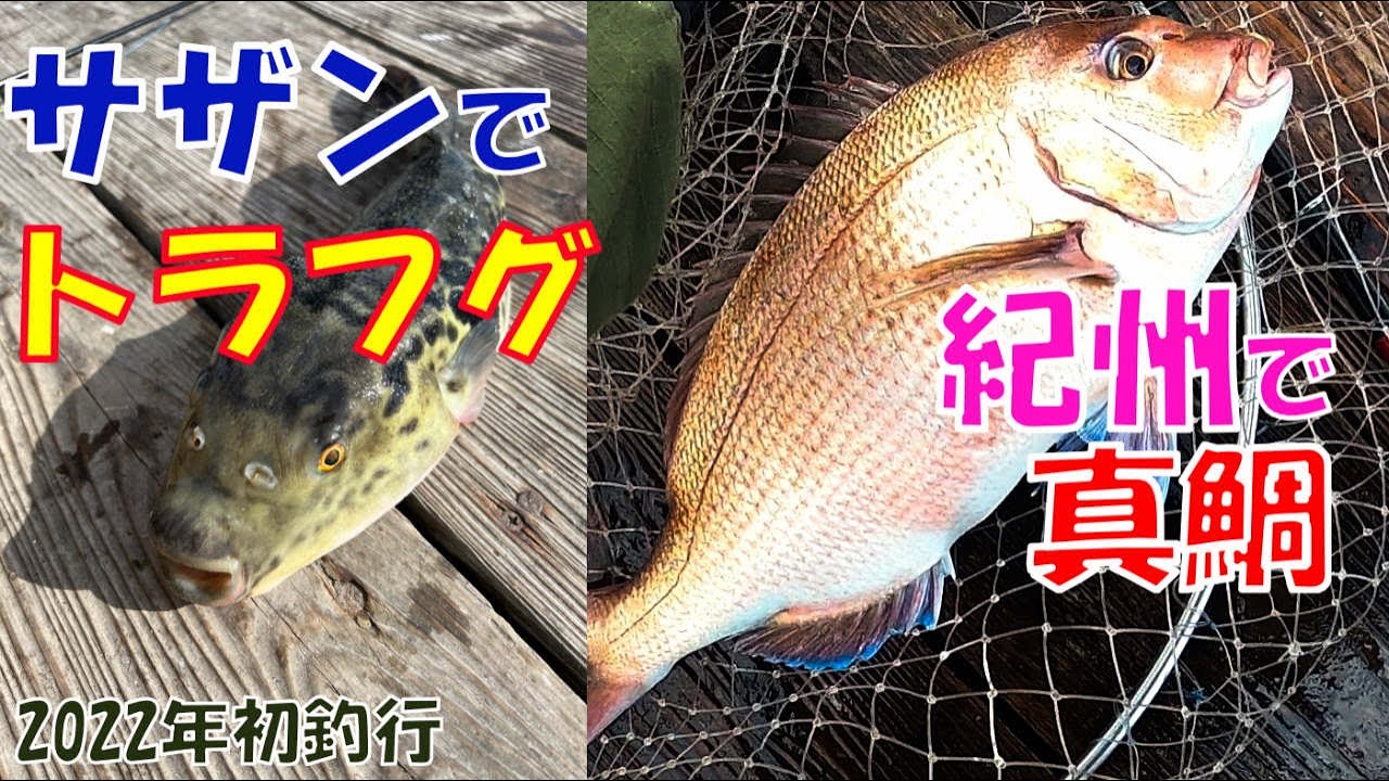 海上釣堀 釣り堀サザンでトラフグ 釣堀紀州で真鯛を狙う 最新 人気釣りyoutube動画まとめサイト West
