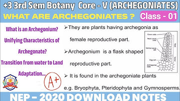 Archegoniates ll +3 3rd Sem Botany hons ll Core - V ll Class - 01 ll NEP -2020 Odia medium 