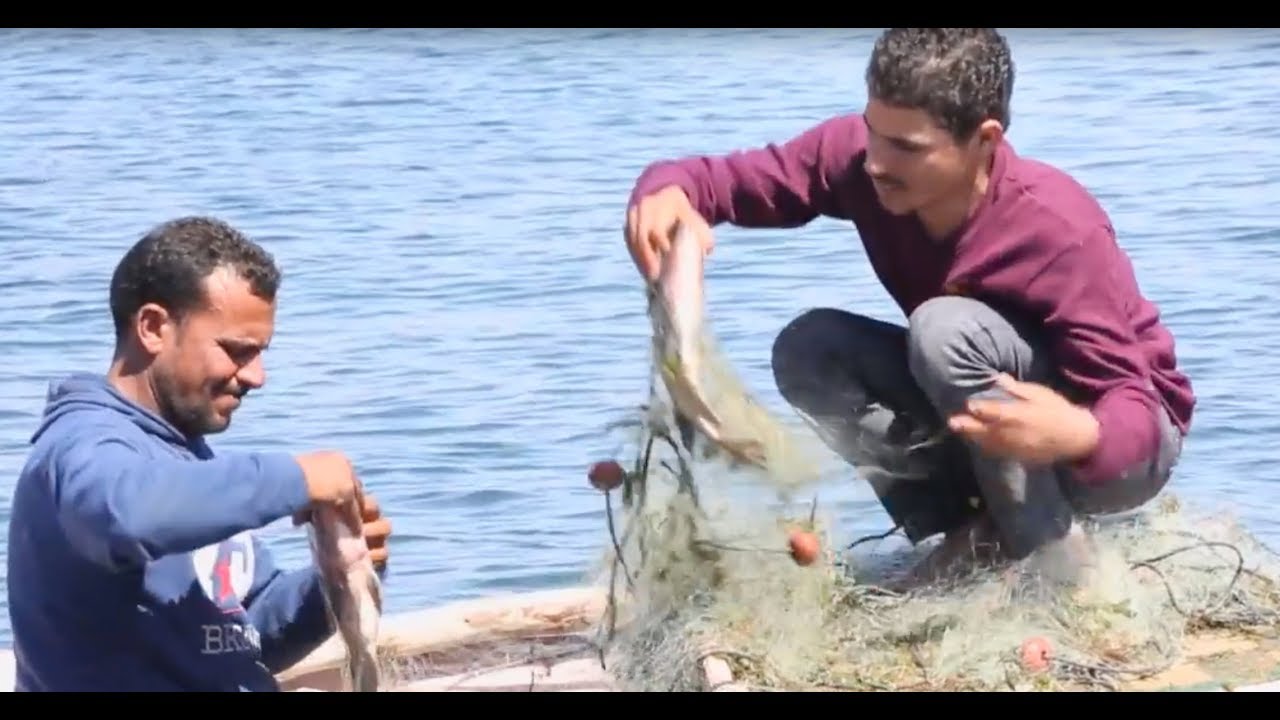Resource management and training supports youth employment in Egypt’s Lake Nasser