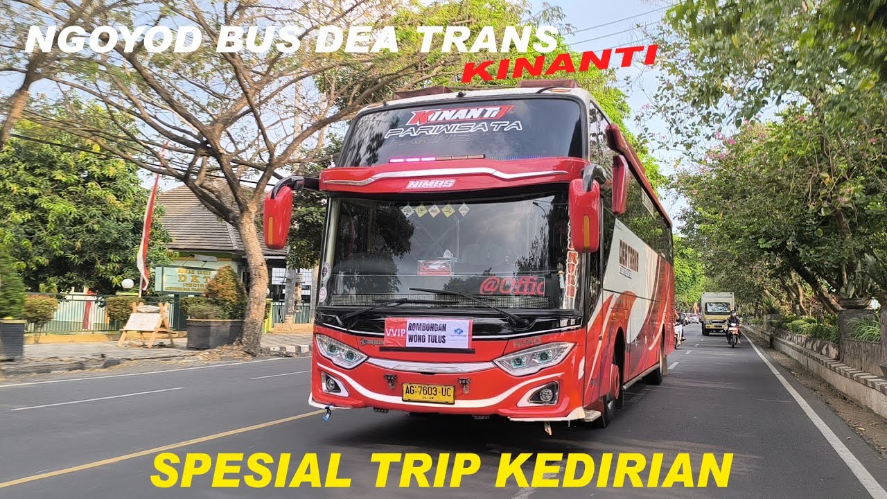 NGOYOD BUS DEA TRANS 