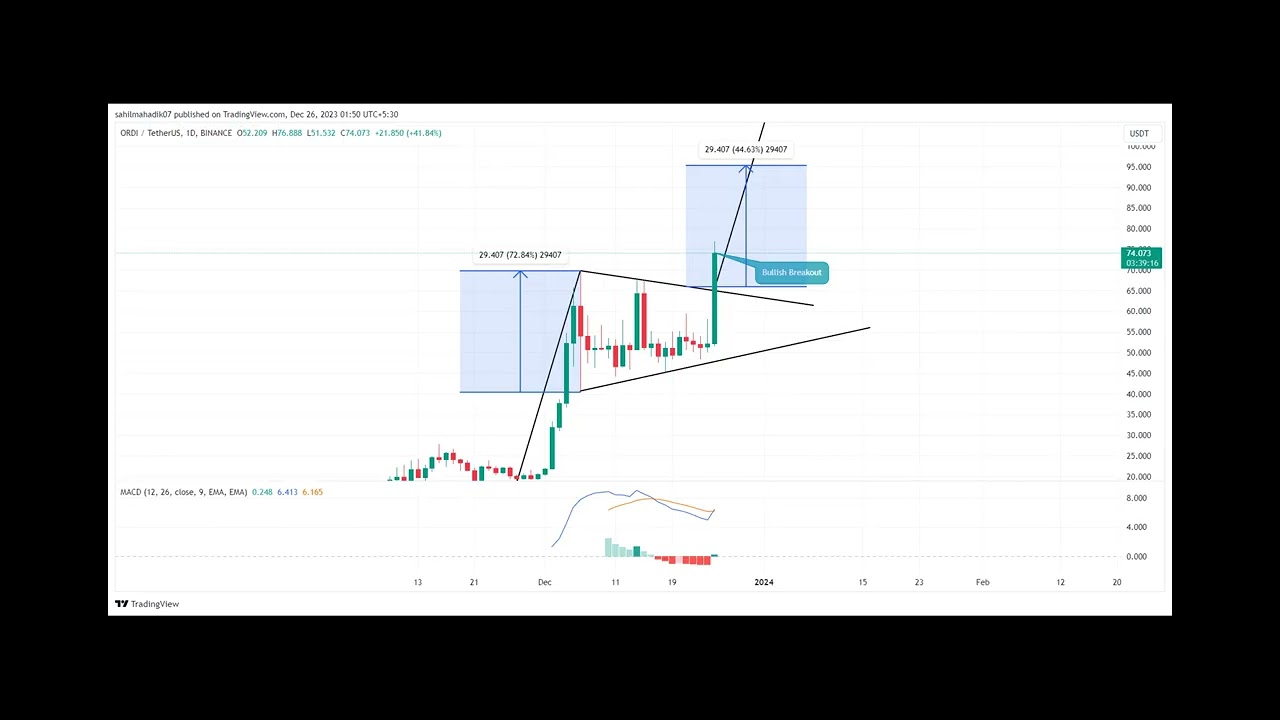 Top Altcoins to Buy in Christmas: AXS, MINA, ORDI