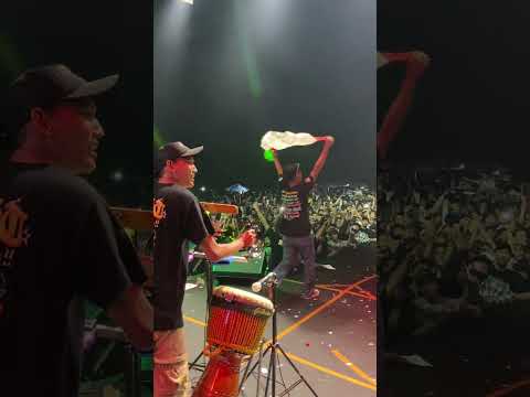 Carbon Based Lifeforms - Interloper [Full Album - 2015 Remaster]