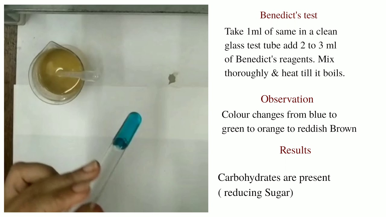 Qualitative analysis of carbohydrates YouTube