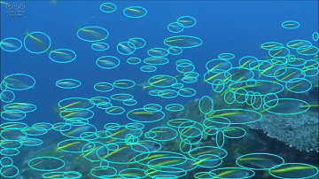 Object detection by YoloV4 AlexeyAB example