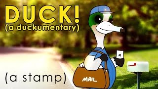 Duck! (a duckumentary) a Stamp
