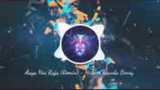 Aya Hai Raja Dj Berry 