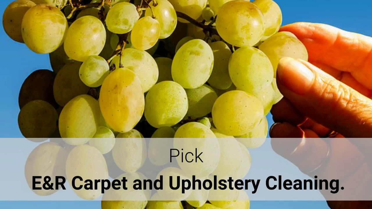 Upholstery cleaners Vacaville YouTube