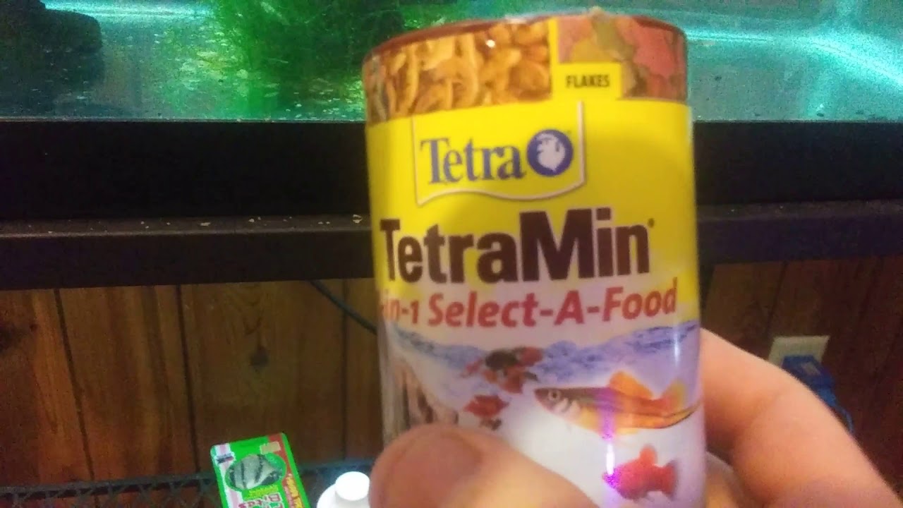 Tetra TetraMin 3 in 1 Select a Food Product Review