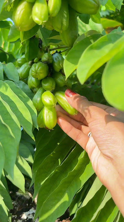 itinekond ingane onn try cheidhu noku😋 #trending #shorts #nostalgia