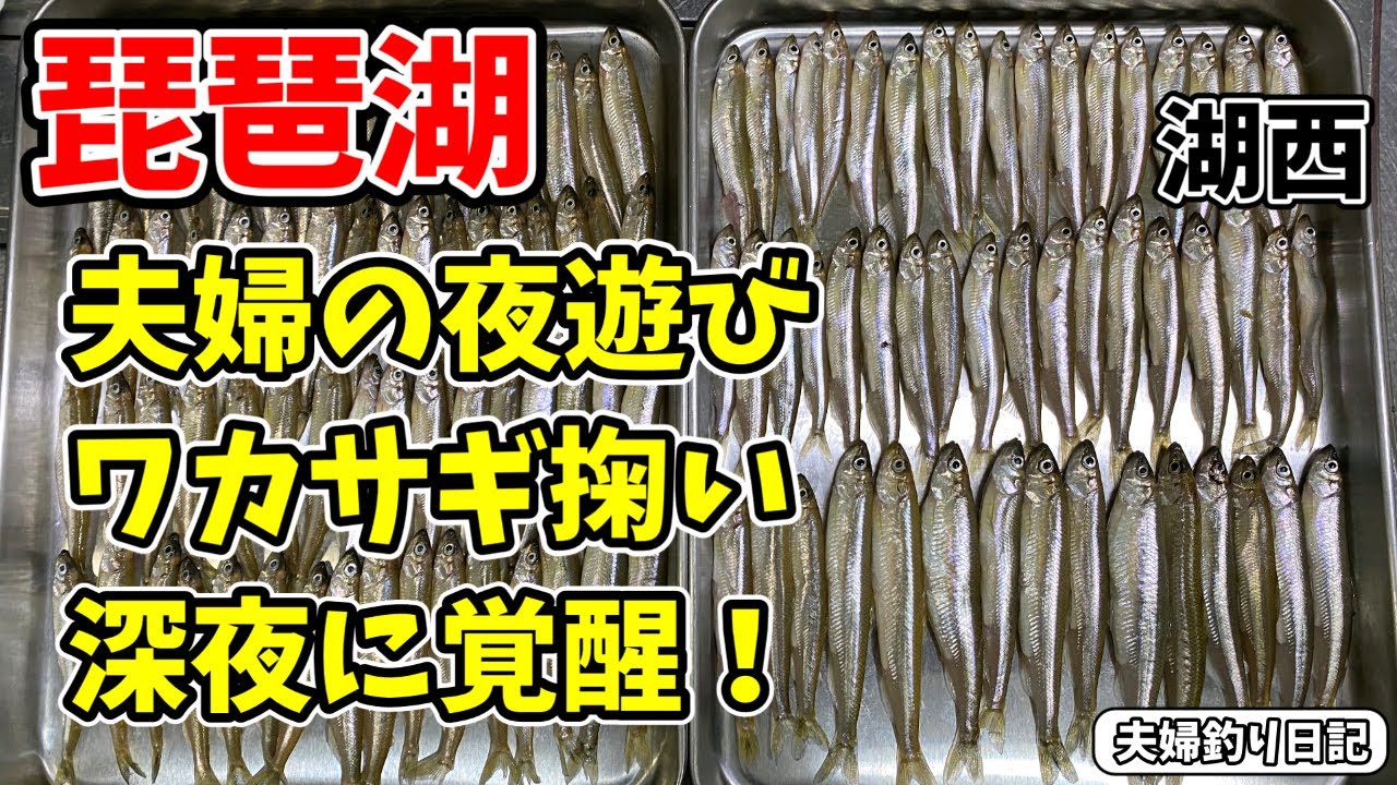 深夜に覚醒！夫婦でワカサギ掬いリベンジ｜夜の琵琶湖が楽しすぎた！