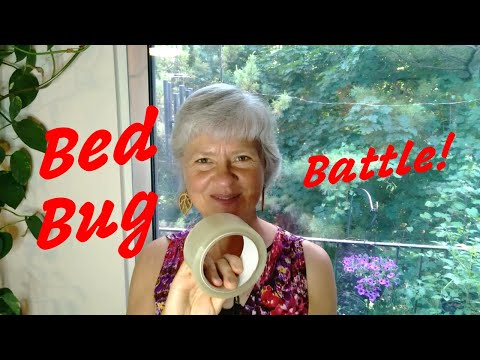 My Favorite Weapon in my Battle with Bed Bugs!