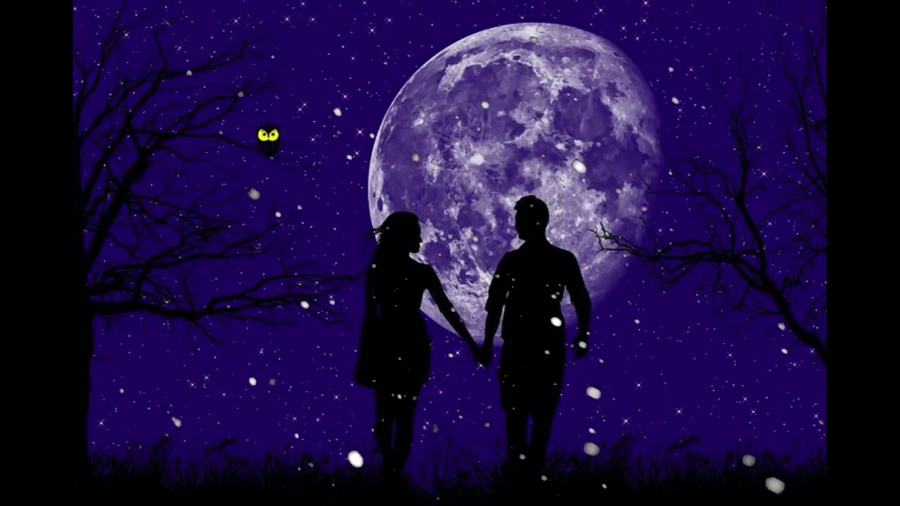  My Love You are not my Valentine for one day, you are my love for every day.!🥹❤️✨