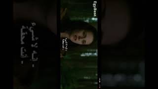 فلم توايلايت الجزء الثاني