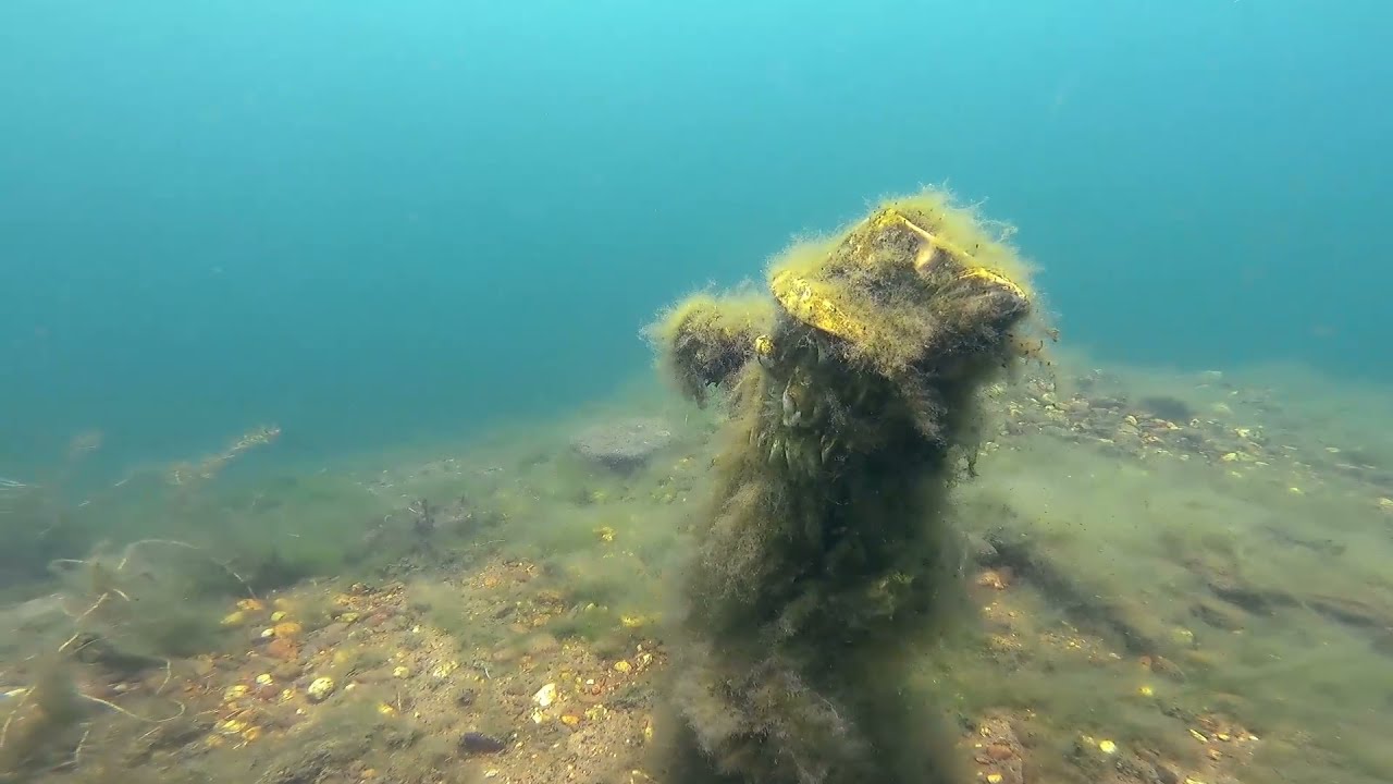 Gut Widdauen mit Dive In Essen 2021 06 13