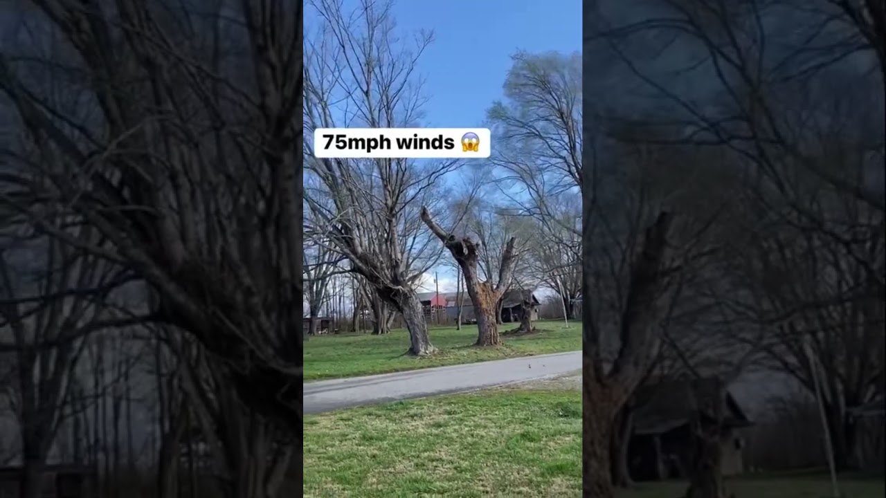 60-80 mph winds ⛈️🌪️ 