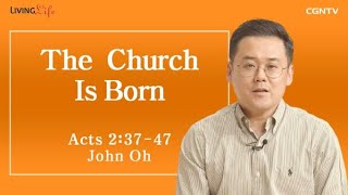 The Church Is Born (Acts 2:37-47) - Living Life 06/23/2023 Daily Devotional Bible Study