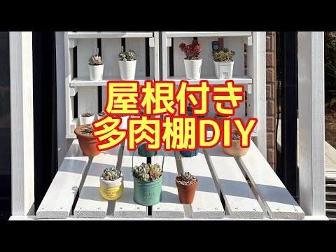 29 多肉棚DIY 🪚 #たにくしょくぶつ #多肉植物 #succulent - YouTube