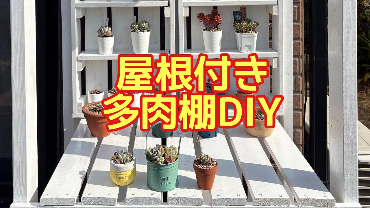 #29 多肉棚DIY 🪚　#たにくしょくぶつ #多肉植物 #succulent 