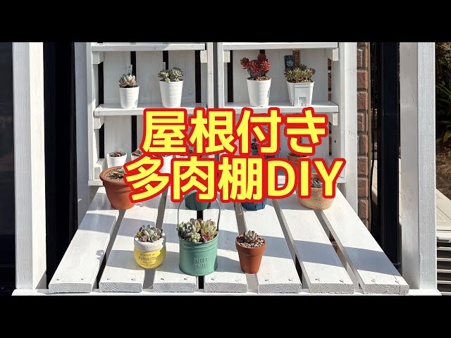 29 多肉棚DIY 🪚 #たにくしょくぶつ #多肉植物 #succulent - YouTube