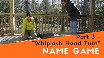How to Teach Your Dog the Name Game - "Whiplash Head Turn"
