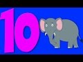 Number Song | Ten Little Elephants | Learn Counting From Preschool