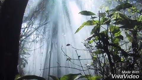 أواخر سورة يس ~ أولم ير الإنسان أنا خلقناه من نطفة فإذا هو خصيم مبين