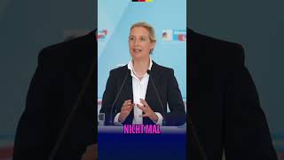 Deutschlands Grenzen: Rigorose Abschiebungen &amp; Einwanderungsstopp #shorts