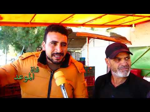 1 دينار كغ البرتقال يتباع في طريق منزل بوزلفة الأسعار في المتناول لكن يسمحولنا نتنقلو بالسلعة