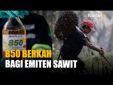 Gapki: B50 Berpotensi Dongkrak Harga CPO dan TBS Petani