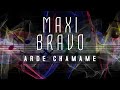 MAXI BRAVO Arde Chamamé - Pienso en Ti (Cover)