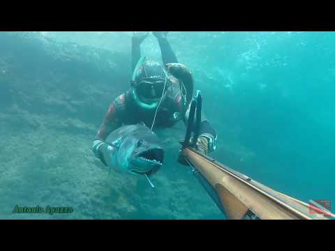 Pescasub:  A tutto Gladio!!!