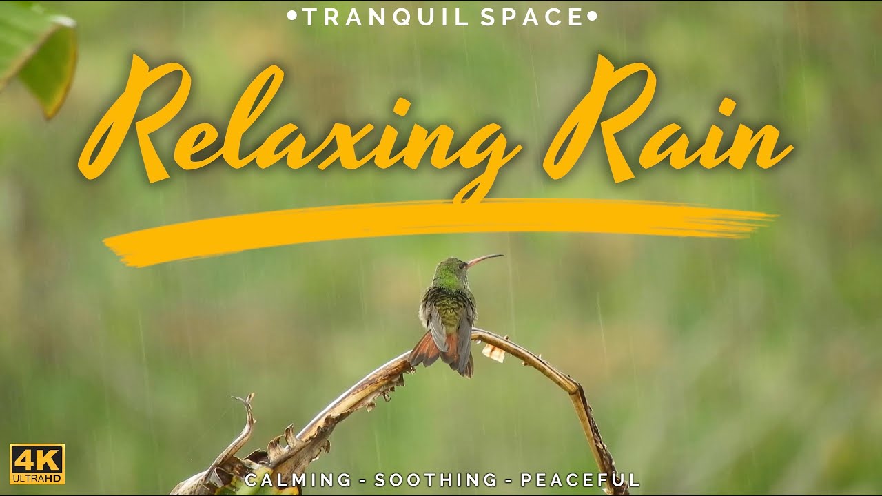 [4K] Tranquil Space - Relaxing Rain -  2 hours calming relaxing rain scenes & soothing music