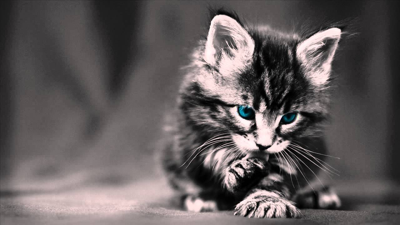 Emotional Rap Hip Hop Beats Instrumental Losing Someone You Love 2015