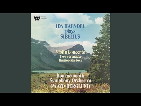 Violin Concerto in D Minor, Op. 47: III. Allegro ma non tanto