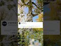 @Coding_Meme.123