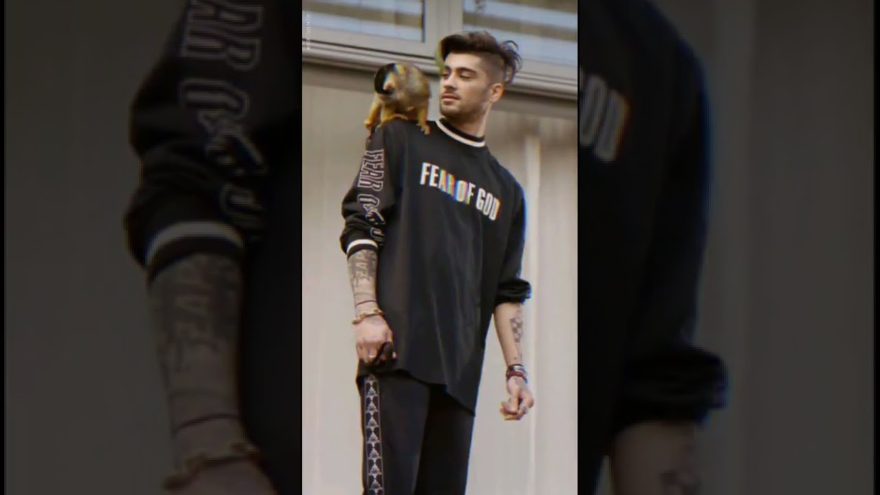 zayn malik 😍 - YouTube
