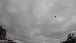 Daytime Sky Time Lapse 9th October 2026