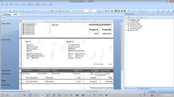Crystal Reports Software Training - for e-manage Business Management Software Reports