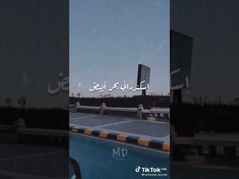 حالات واتس حاله حلوه هو حاله يتمشلها