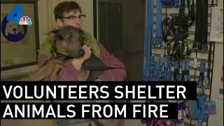 Volunteers Shelter Animals From 46 Fire Nbcla
