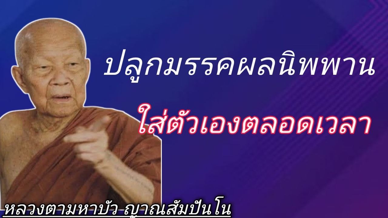 ปลูกมรรคผลนิพพานใส่ตัวเองตลอดเวลา เสียงเทศน์ หลวงตามหาบัว ญาณสัมปันโน #ธรรมะอานาปานสติ