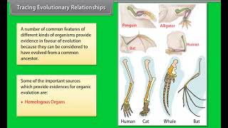 Tracing Evolutionary Relationships