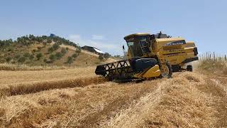 New Holland Tc56 Demi̇ralay Hasat Harman