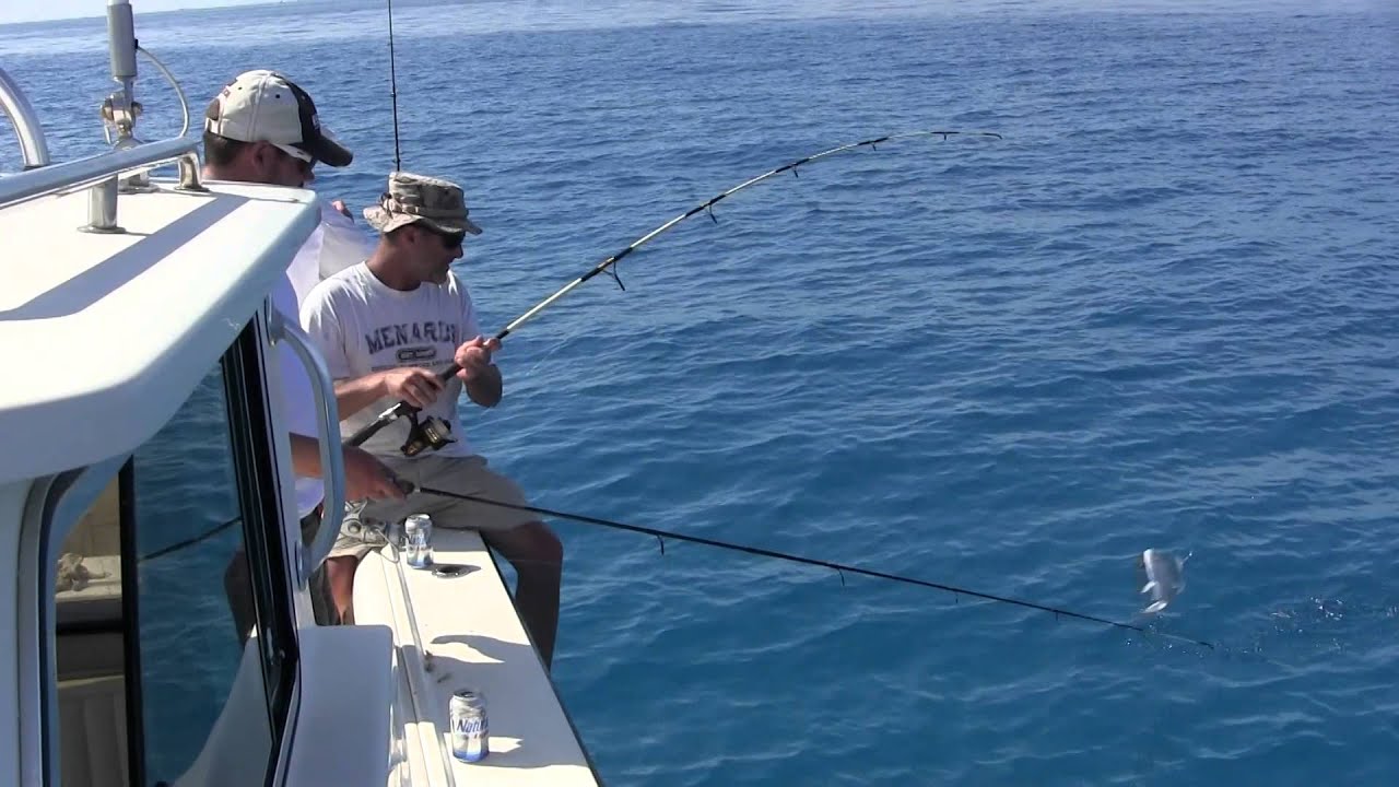 Reef Fishing March 2015 (Day4 a.k.a. Day6) YouTube