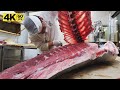 생생한 220Kg 생참치 해체의 달인 /김씨마구로 제환영 셰프/220Kg Giant Tuna Cutting Show