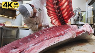 Разделка очень крупного сырого тунца весом 220 кг, рыбный рынок Норянчжин, Южная Корея
