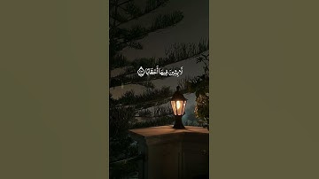 قران كريم qurankarim تلاوه عطره تأسر القلوب#quranhearts