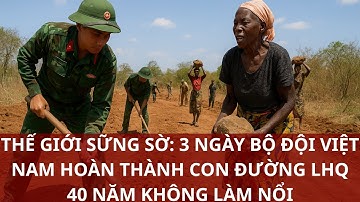 Thế Giới Sững Sờ: 3 Ngày Bộ Đội Việt Nam Hoàn Thành Con Đường LHQ 40 Năm Không Làm Nổi!